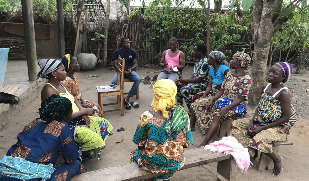 Formation de groupements et producteurs au Sud