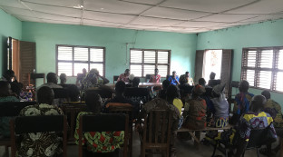 Formation de groupements et producteurs au Sud