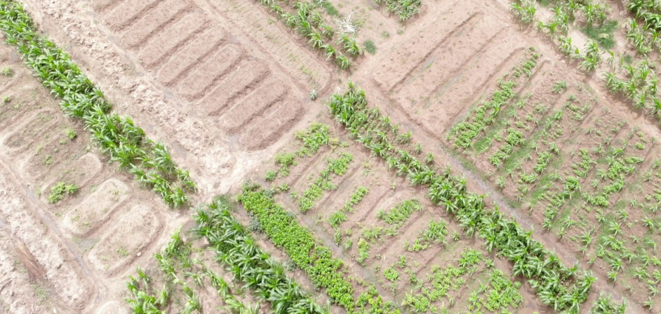 Gestion durables des terres